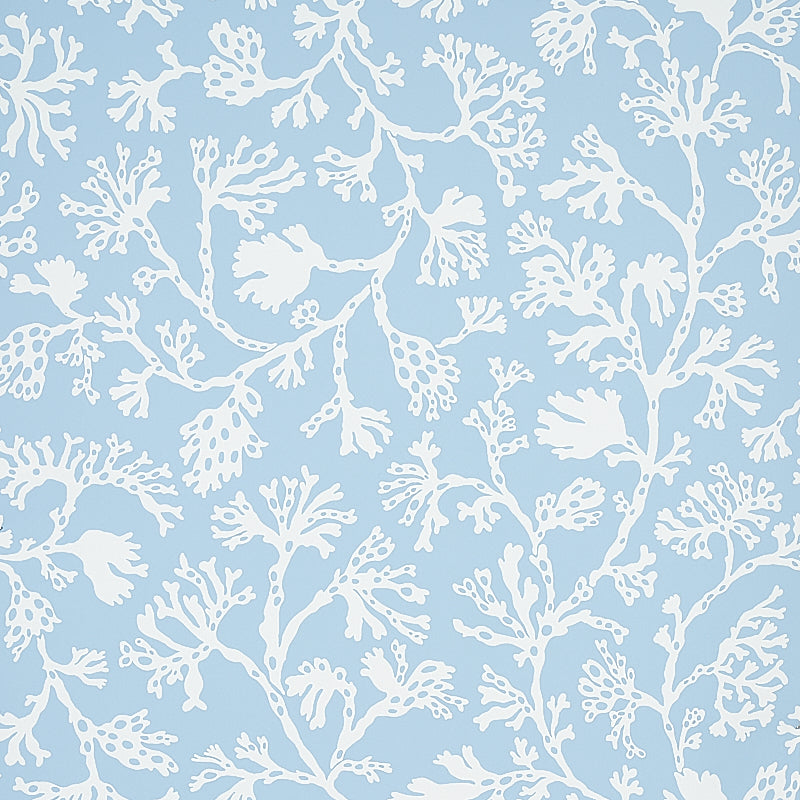Anthoza wallpaper in sky color - pattern number 5012130 - by Schumacher in the Signature Schumacher collection