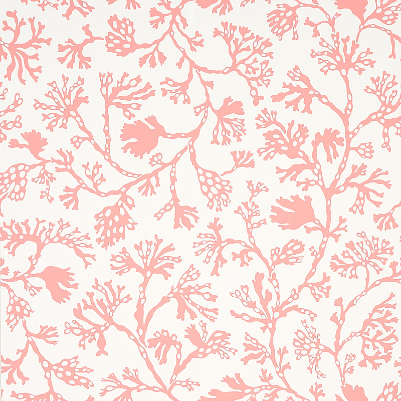 Anthoza wallpaper in coral color - pattern number 5012132 - by Schumacher in the Signature Schumacher collection