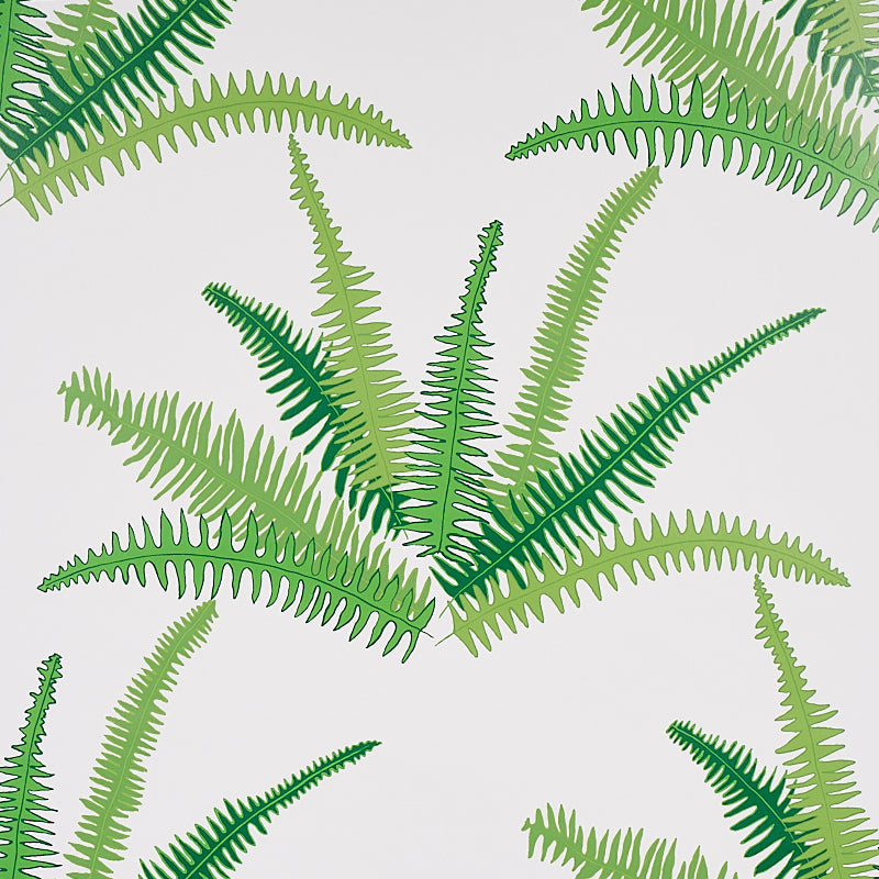 Canyon Ferns wallpaper in jungle color - pattern number 5012621 - by Schumacher in the Cristina Buckley collection