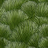 Fondale wallpaper in green color - pattern number 5012652 - by Schumacher in the Mystique collection