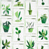 Botanicals wallpaper in greenhouse color - pattern number 5012691 - by Schumacher in the Peg Norriss collection