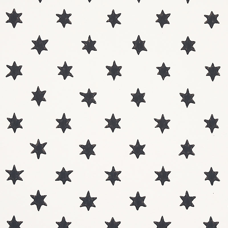 Astral wallpaper in black color - pattern number 5013140 - by Schumacher in the Hobe Erwin collection