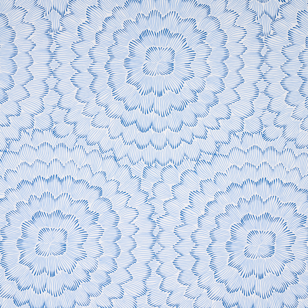 Feather Bloom wallpaper in blue color - pattern number 5013820 - by Schumacher in the Moon River collection