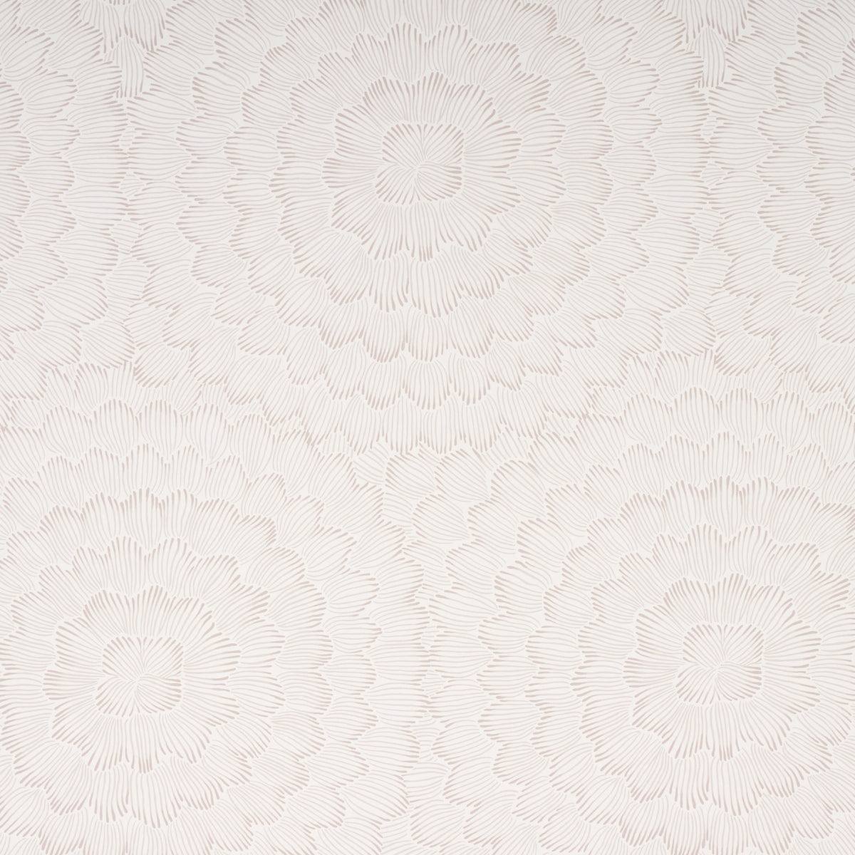 Feather Bloom wallpaper in soft neutral color - pattern number 5013821 - by Schumacher in the Full Bloom collection