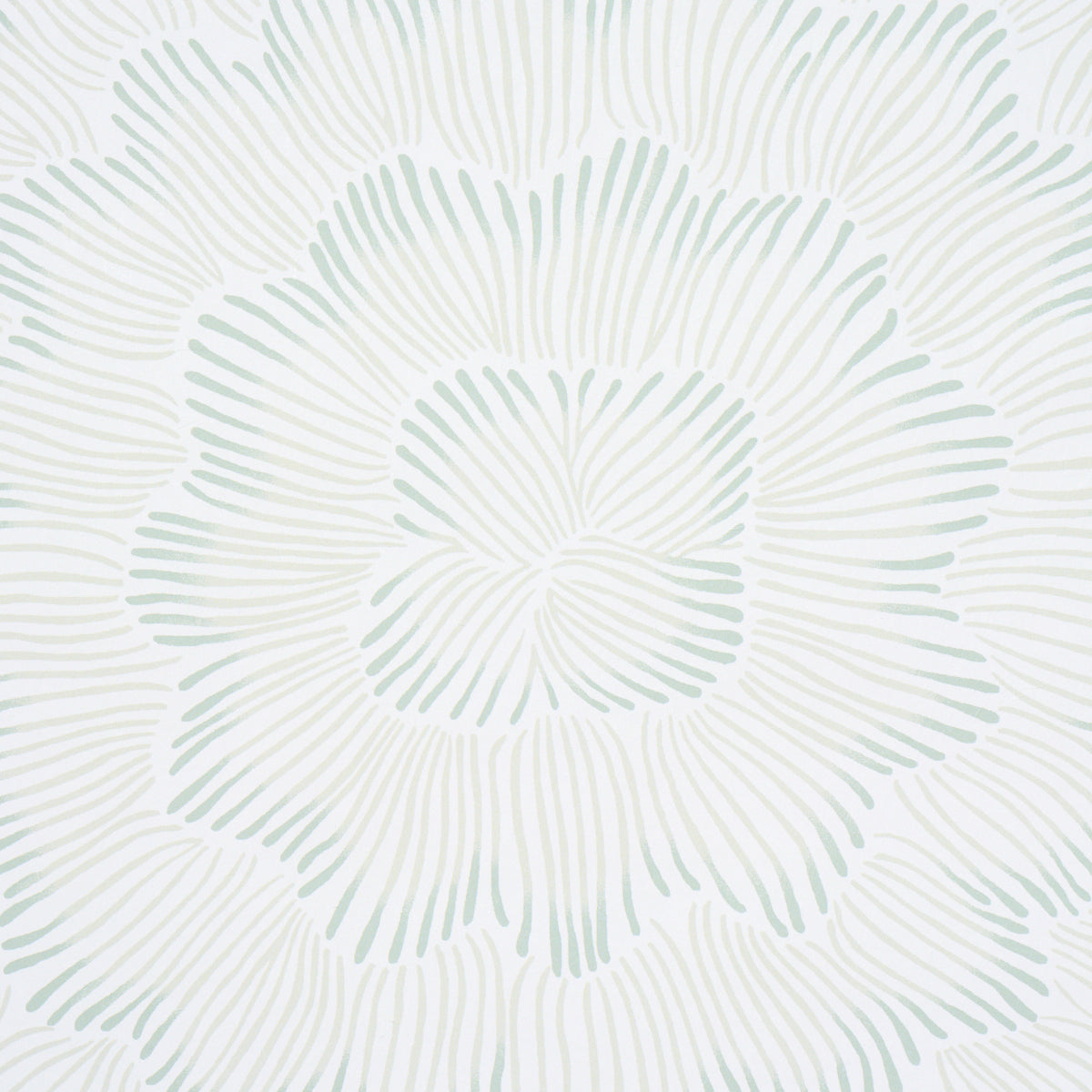 Feather Bloom Wallpaper in Seaglass color - pattern number 5013822 - by Schumacher in the Perennial Favorites collection