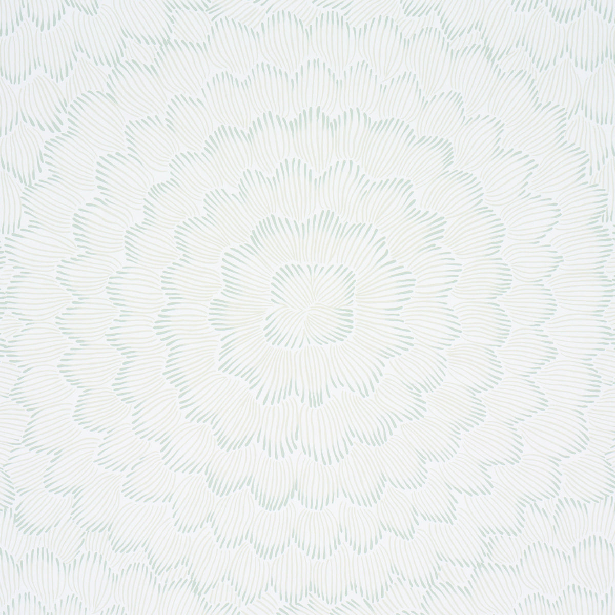 Feather Bloom Wallpaper in Seaglass color - pattern number 5013822 - by Schumacher in the Perennial Favorites collection
