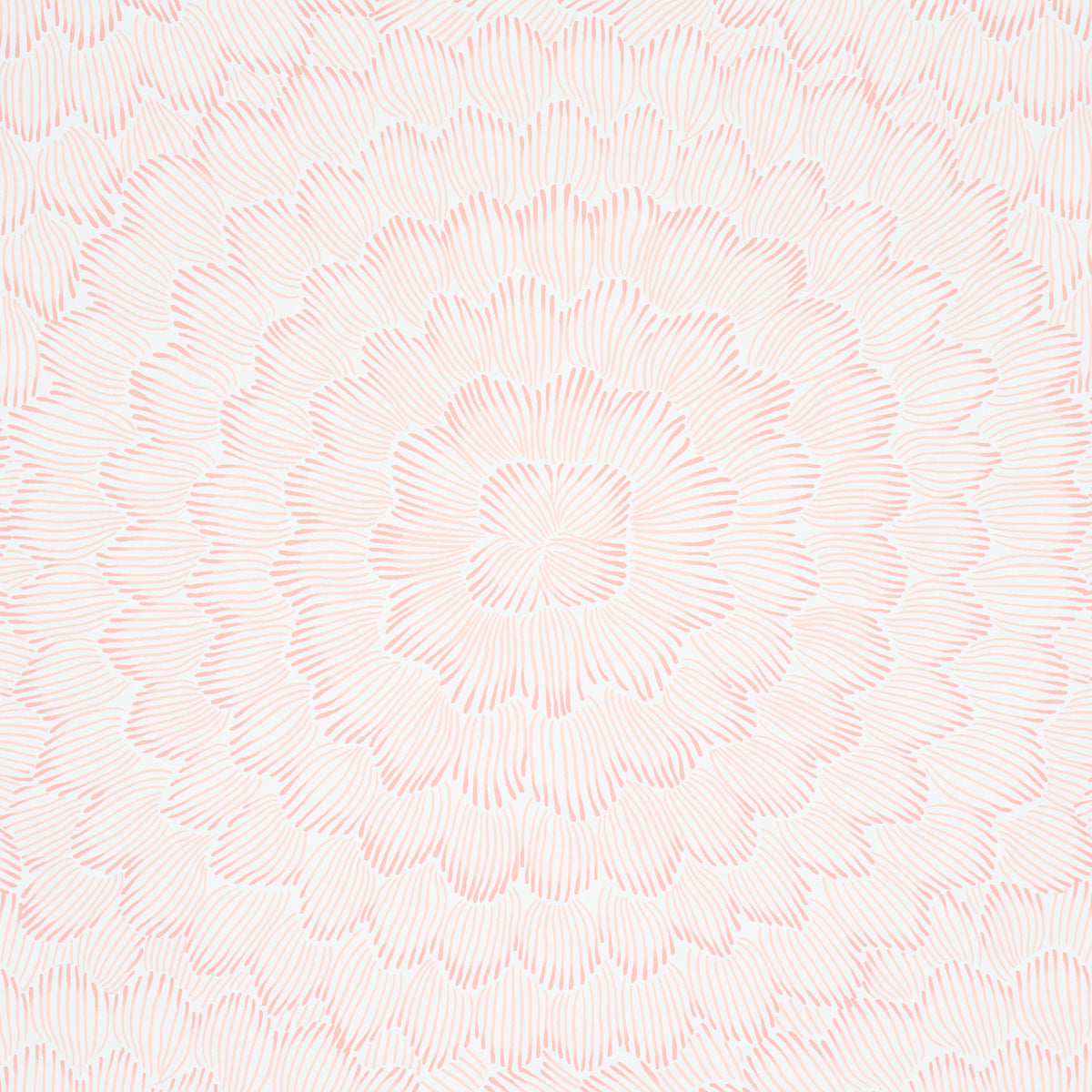 Feather Bloom Wallpaper in Salmon color - pattern number 5013823 - by Schumacher in the Perennial Favorites collection