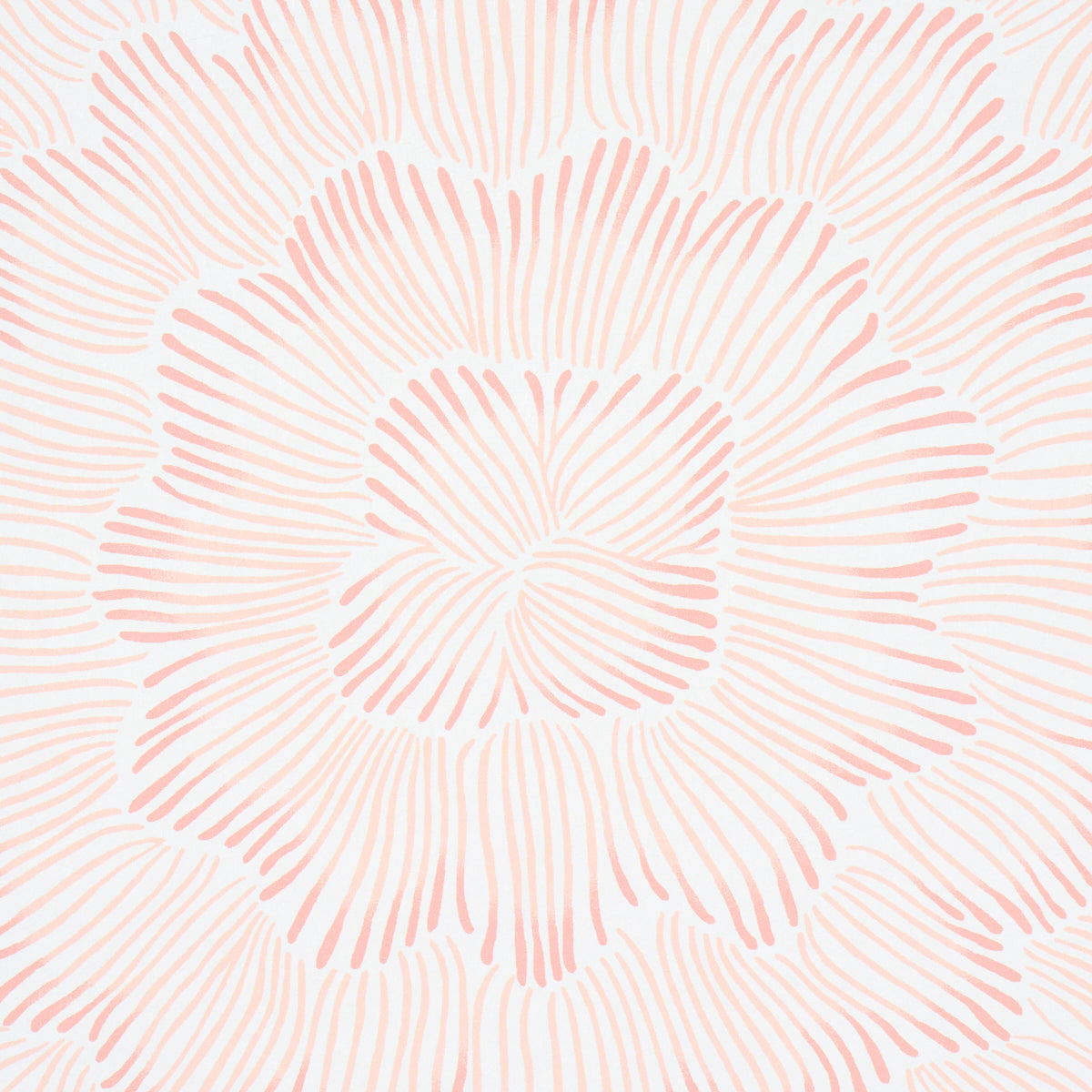 Feather Bloom Wallpaper in Salmon color - pattern number 5013823 - by Schumacher in the Perennial Favorites collection