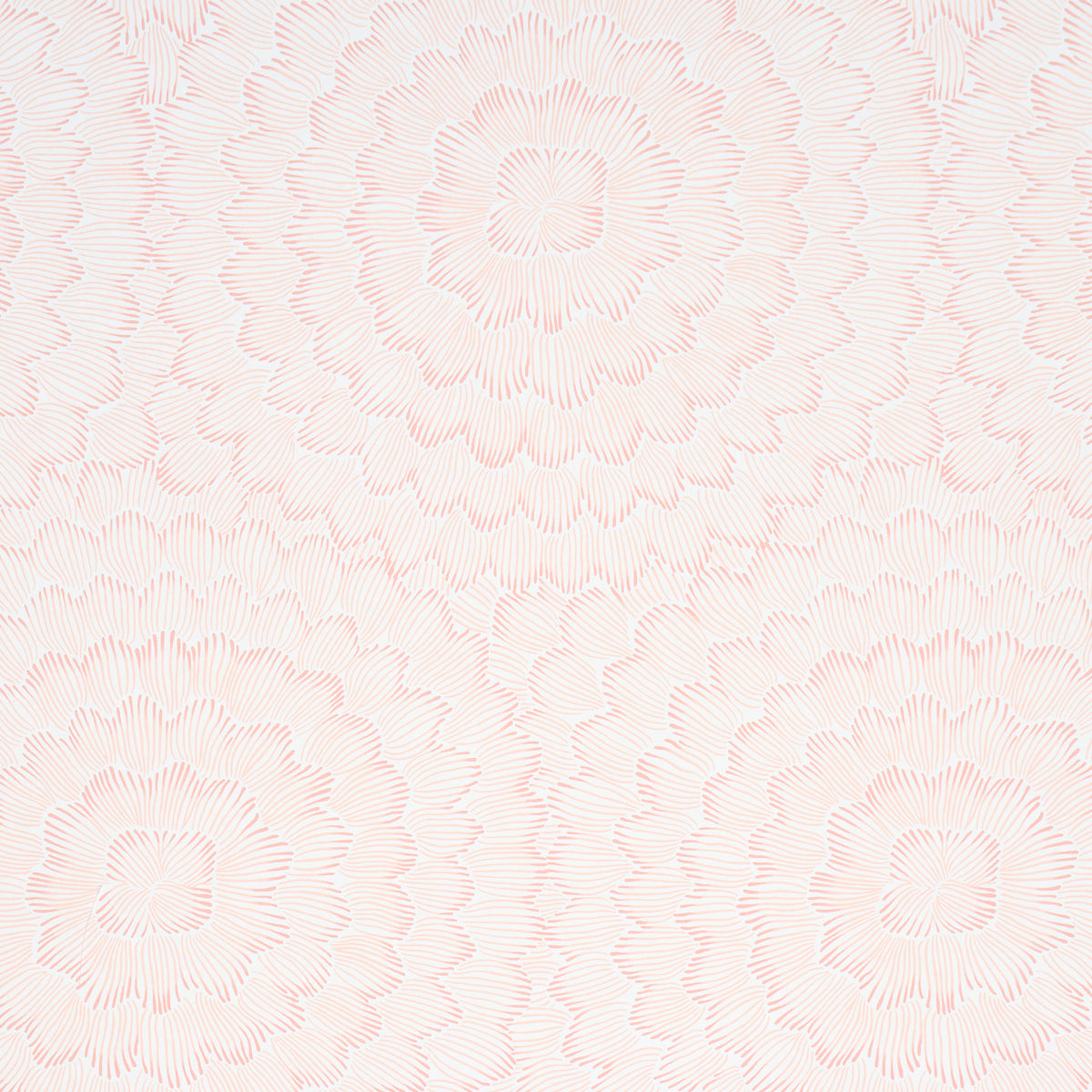 Feather Bloom Wallpaper in Salmon color - pattern number 5013823 - by Schumacher in the Perennial Favorites collection