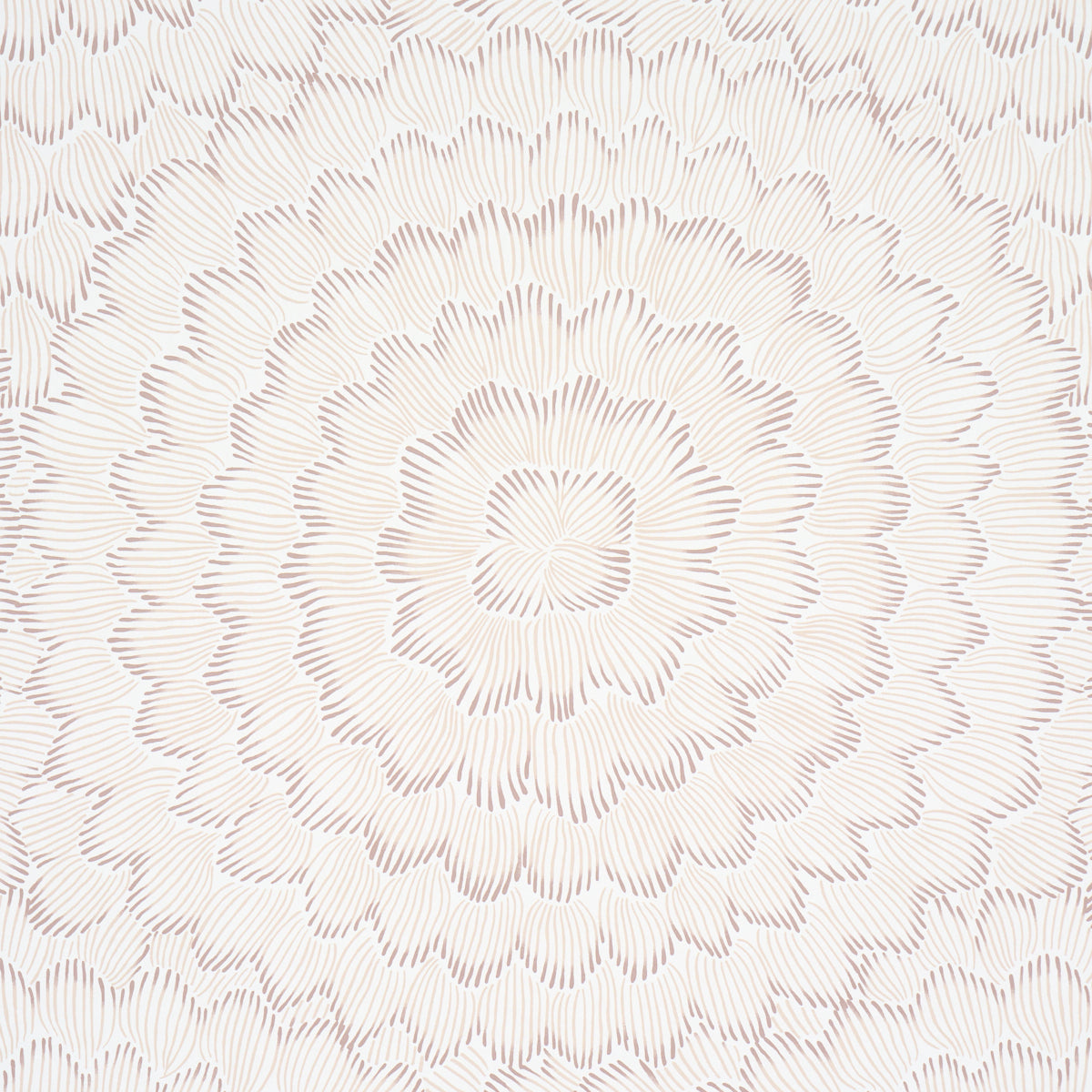 Feather Bloom Wallpaper in Chai color - pattern number 5013824 - by Schumacher in the Perennial Favorites collection