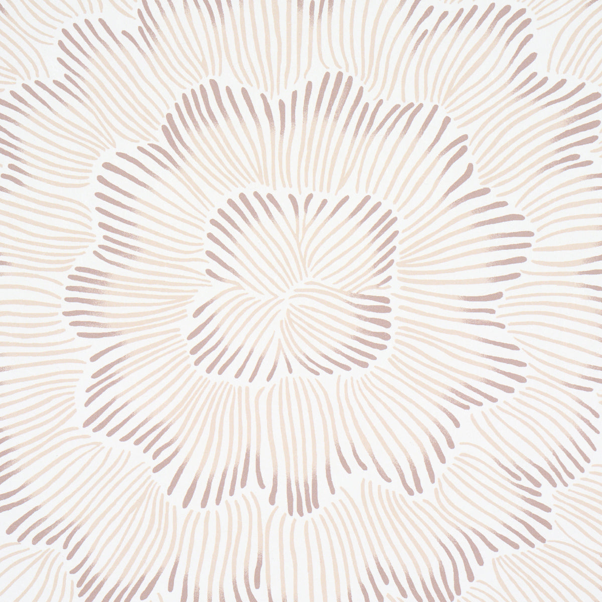 Feather Bloom Wallpaper in Chai color - pattern number 5013824 - by Schumacher in the Perennial Favorites collection