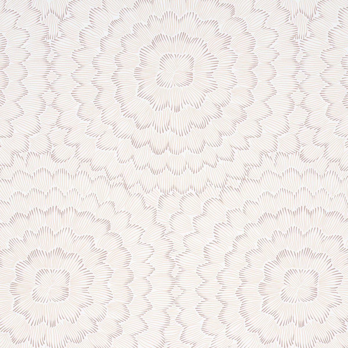 Feather Bloom Wallpaper in Chai color - pattern number 5013824 - by Schumacher in the Perennial Favorites collection