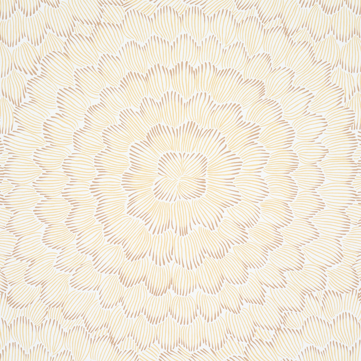 Feather Bloom Wallpaper in Mustard color - pattern number 5013825 - by Schumacher in the Perennial Favorites collection