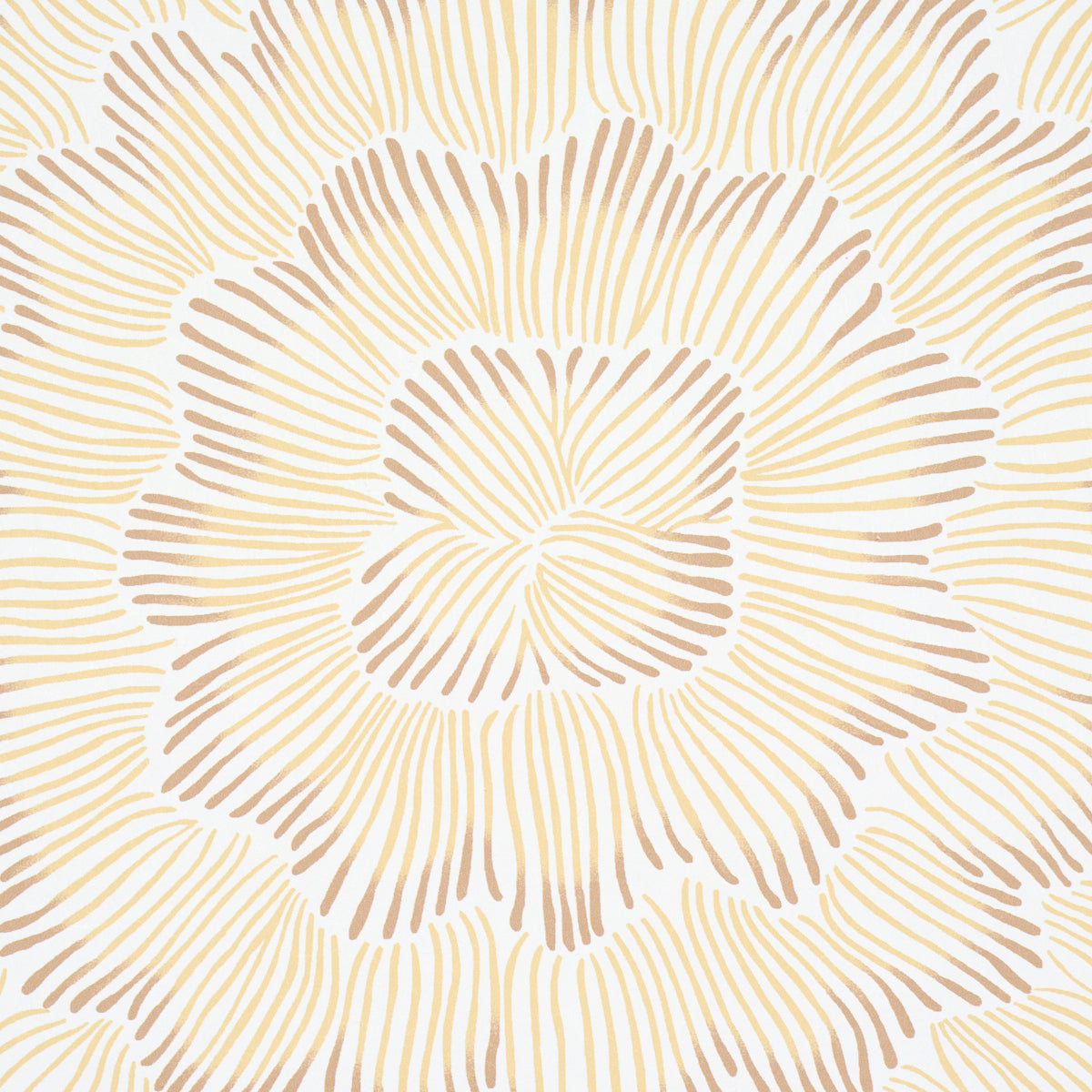 Feather Bloom Wallpaper in Mustard color - pattern number 5013825 - by Schumacher in the Perennial Favorites collection