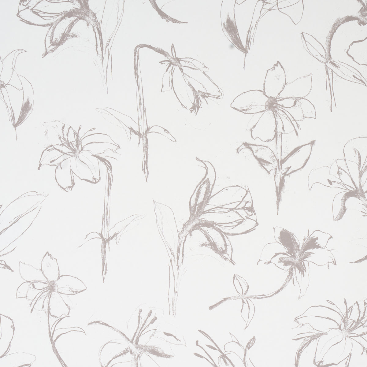 Close Your Eyes and Remember wallpaper in slate color - pattern number 5014082 - by Schumacher in the Hera Ford collection