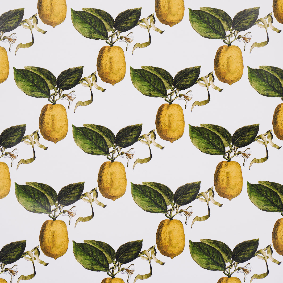 Le Citron wallpaper in ivory color - pattern number 5014280 - by Schumacher in the Johnson Hartig for Libertine collection