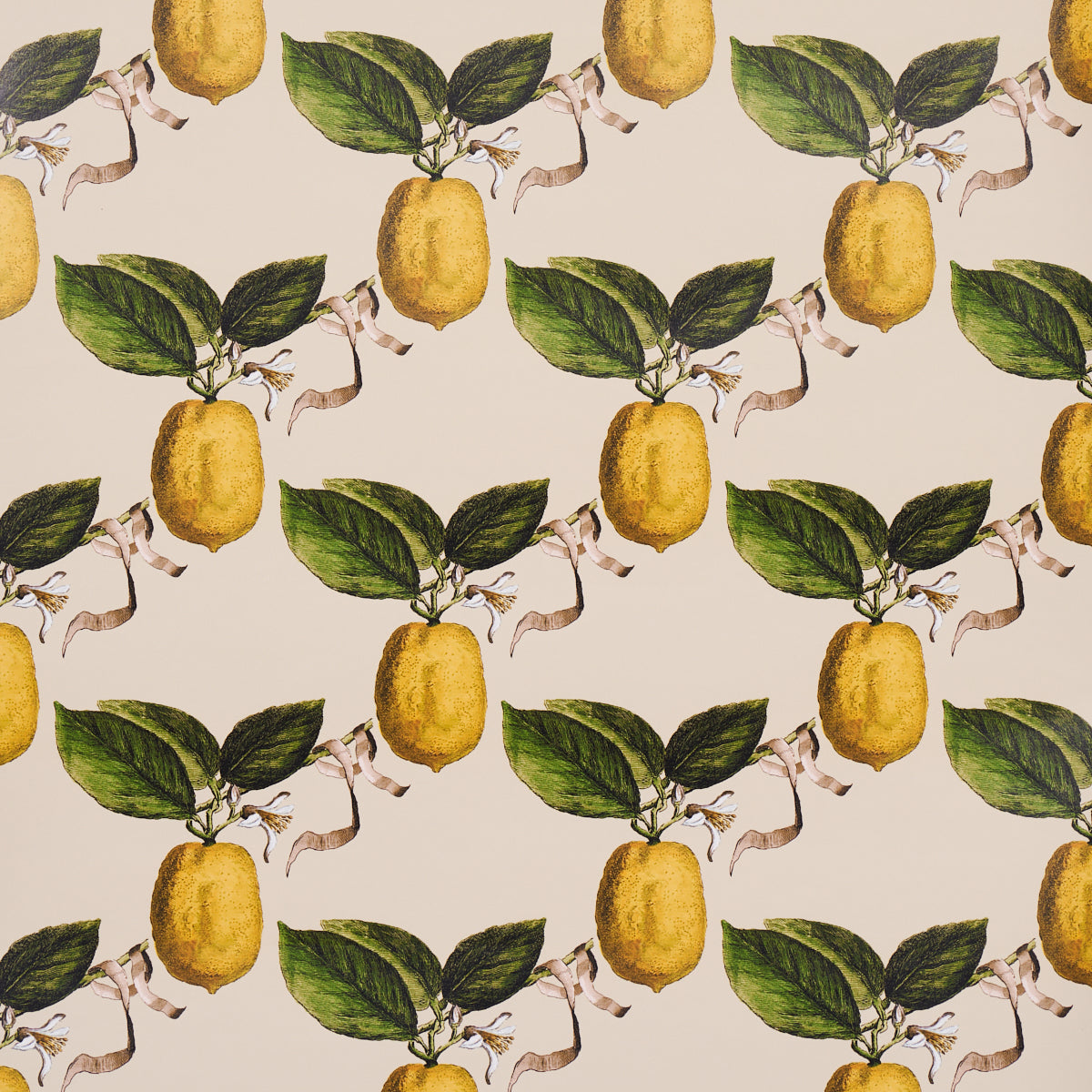 Le Citron wallpaper in natural color - pattern number 5014282 - by Schumacher in the Johnson Hartig for Libertine collection