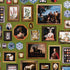 Le Grand Tour fabric in english green color - pattern number 5014292 - by Schumacher in the Johnson Hartig for Libertine collection