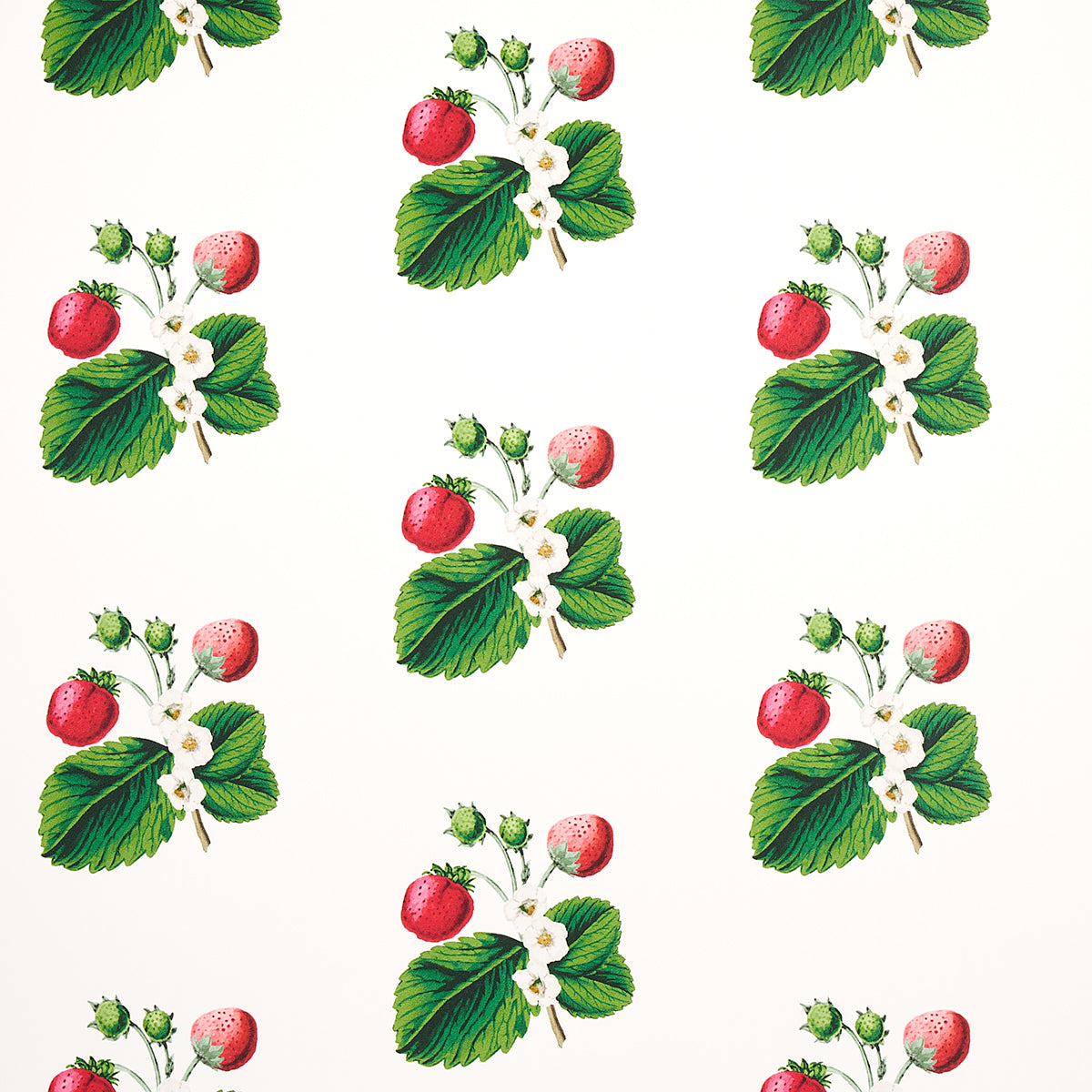 Strawberry Hill wallpaper in white color - pattern number 5014320 - by Schumacher in the Johnson Hartig for Libertine collection