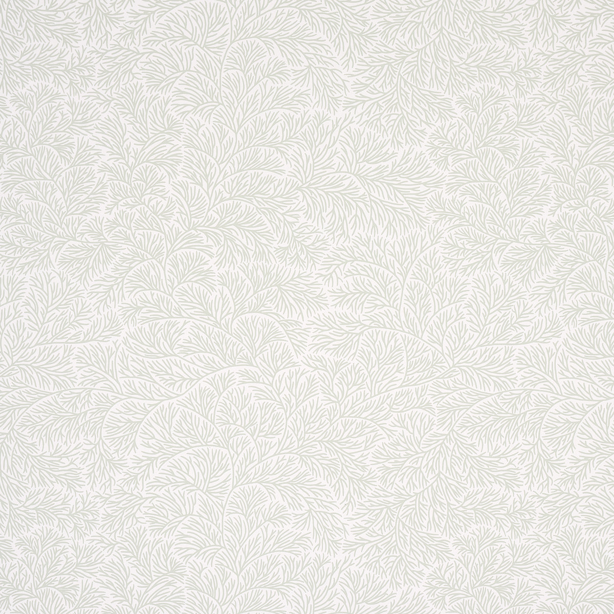 Bougainvillea wallpaper in leaf green color - pattern number 5014331 - by Schumacher in the Mark D Sikes collection