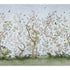 Les Oiseaux Panel Set wallpaper in sky color - pattern number 5015150 - by Schumacher in the Mary Mcdonald collection