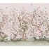 Les Oiseaux Panel Set wallpaper in blush color - pattern number 5015154 - by Schumacher in the Perennial Favorites collection