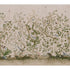 Les Oiseaux Panel Set wallpaper in parchment color - pattern number 5015155 - by Schumacher in the Perennial Favorites collection