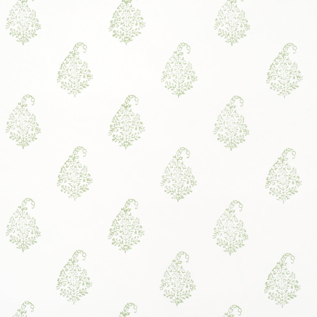 Kerala Paisley II wallpaper in leaf color - pattern number 5015210 - by Schumacher in the Jacaranda collection