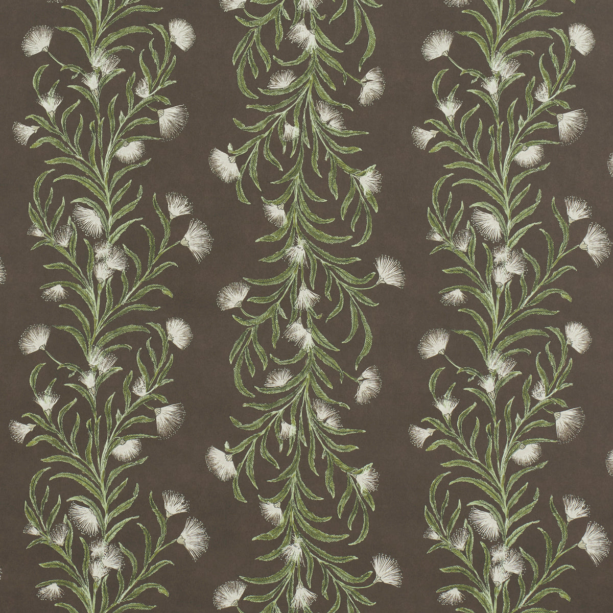 Tasmanian Mimosa wallpaper in brown andgreen color - pattern number 5015361 - by Schumacher in the Celerie Kemble collection