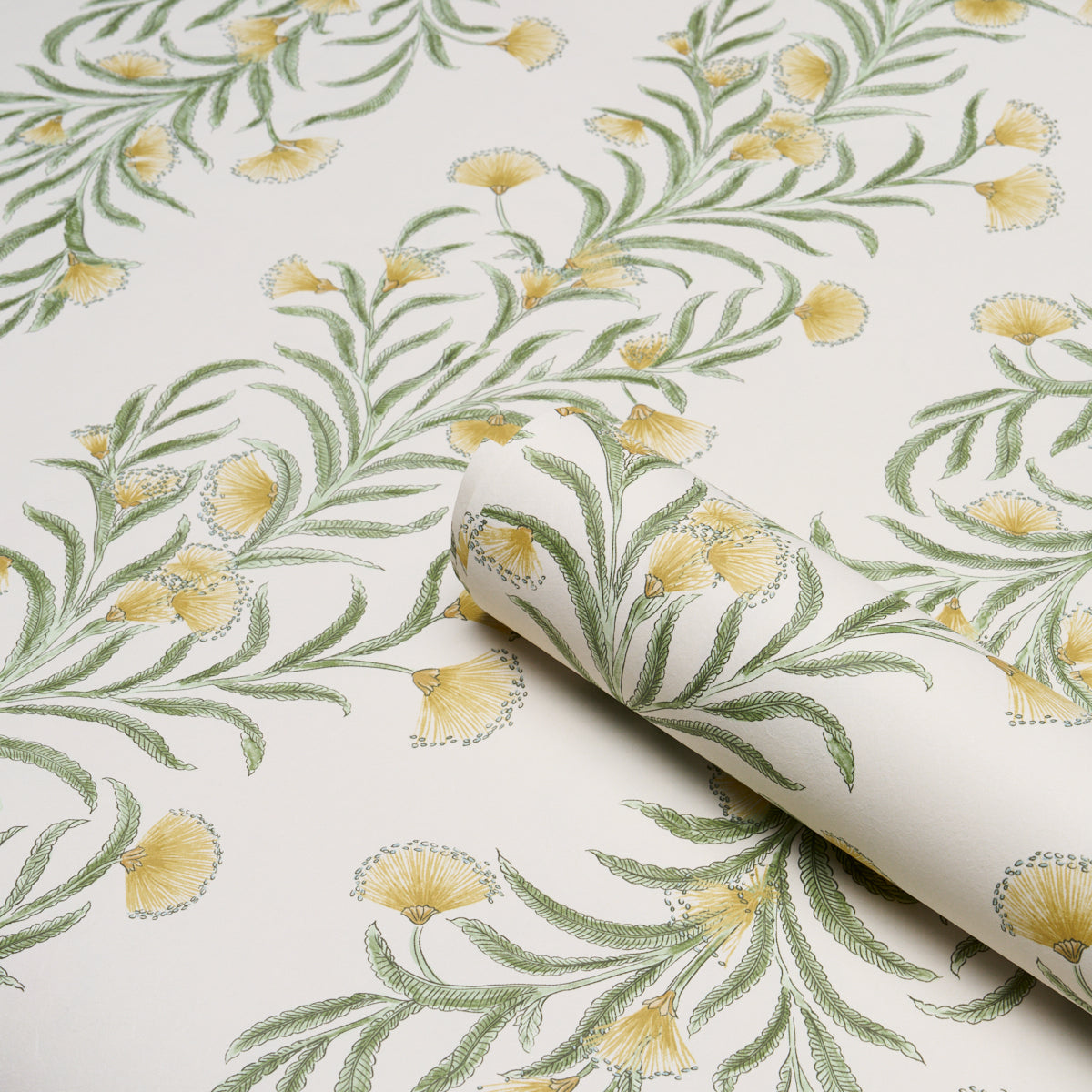 Tasmanian Mimosa Wallpaper in Marigold color - pattern number 5015365 - by Schumacher in the Perennial Favorites collection