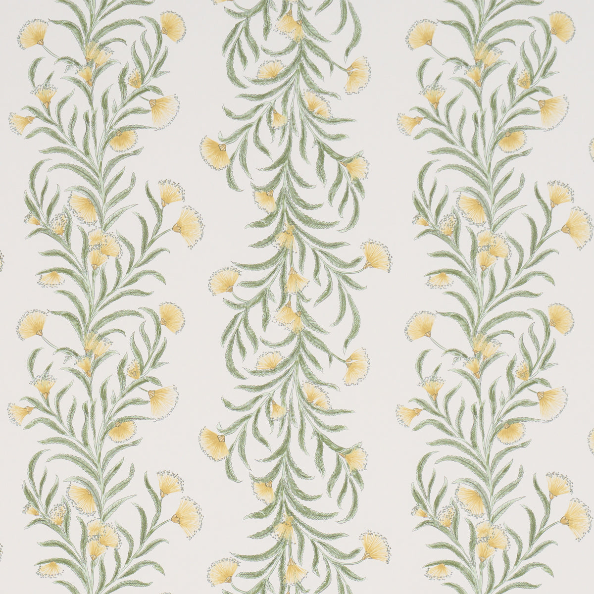 Tasmanian Mimosa Wallpaper in Marigold color - pattern number 5015365 - by Schumacher in the Perennial Favorites collection