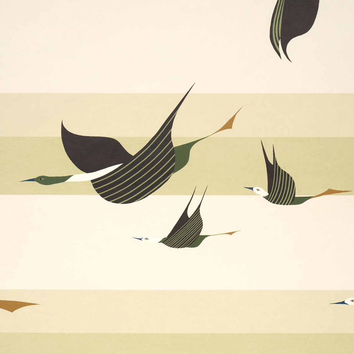 Flying West Wallpaper in green color - pattern number 5015853 - by Schumacher in the Perennial Favorites collection