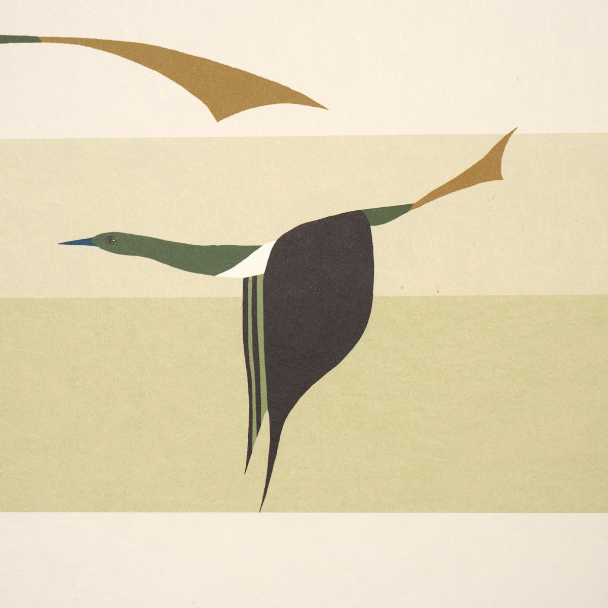 Flying West Wallpaper in green color - pattern number 5015853 - by Schumacher in the Perennial Favorites collection