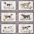 Chasers Legacy fabric in slate color - pattern number 5016080 - by Schumacher in the A Country Life collection
