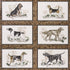 Chasers Legacy fabric in bark color - pattern number 5016081 - by Schumacher in the A Country Life collection