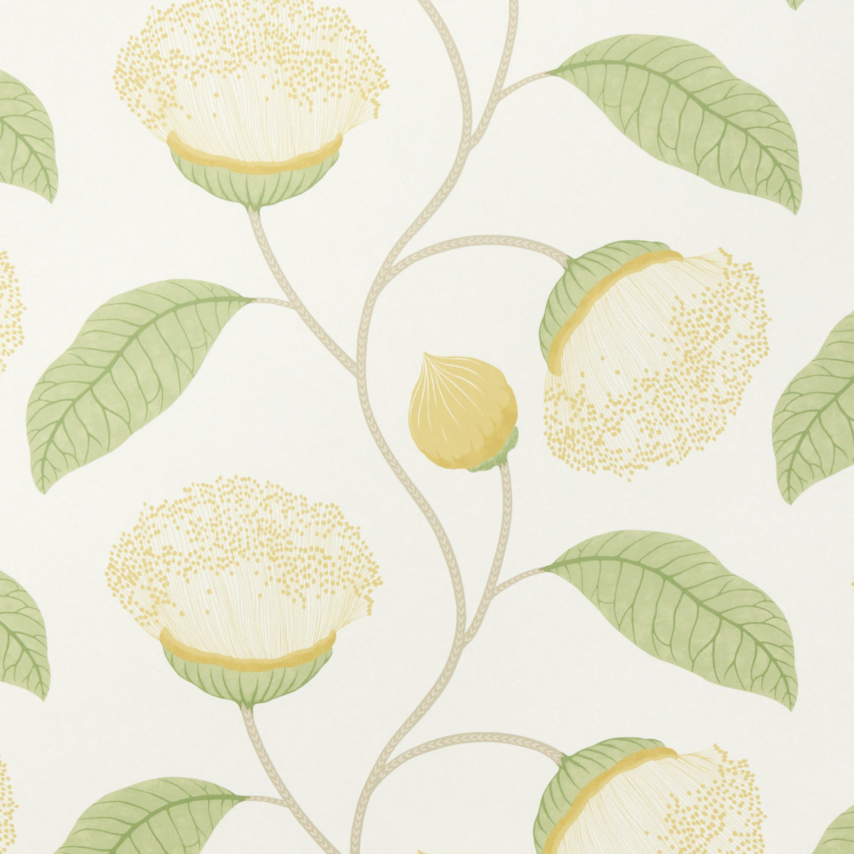 Celinda wallpaper in citrus color - pattern number 5016362 - by Schumacher in the A Love Affair collection