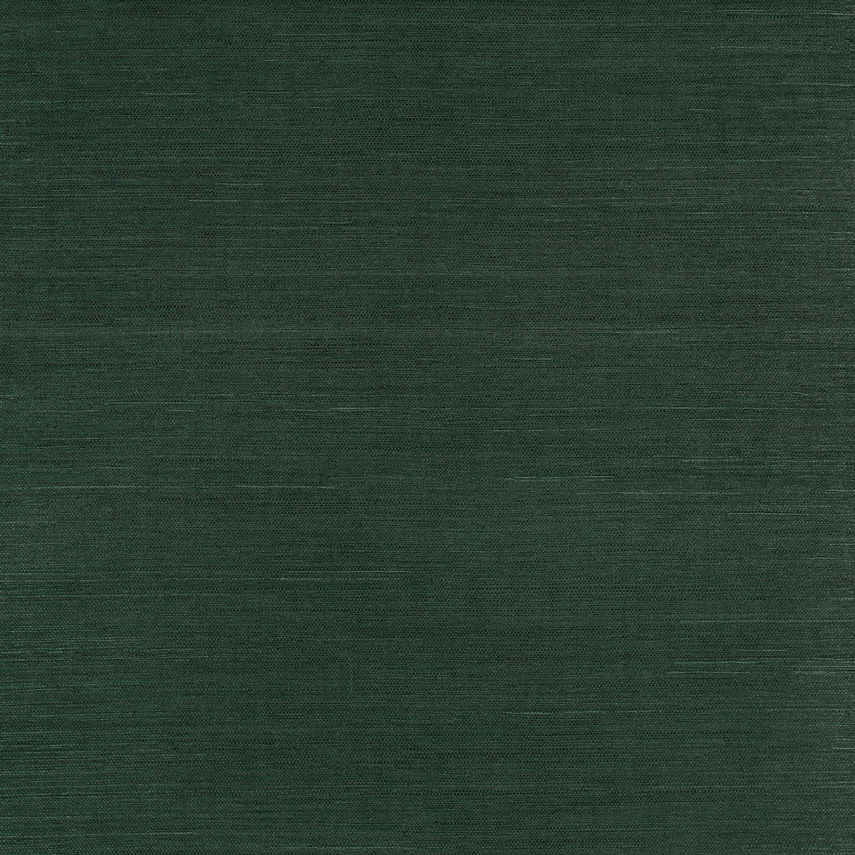 Haruki Sisal Wallpaper in kismet color - pattern number 5016855 - by Schumacher in the Backdrop I collection