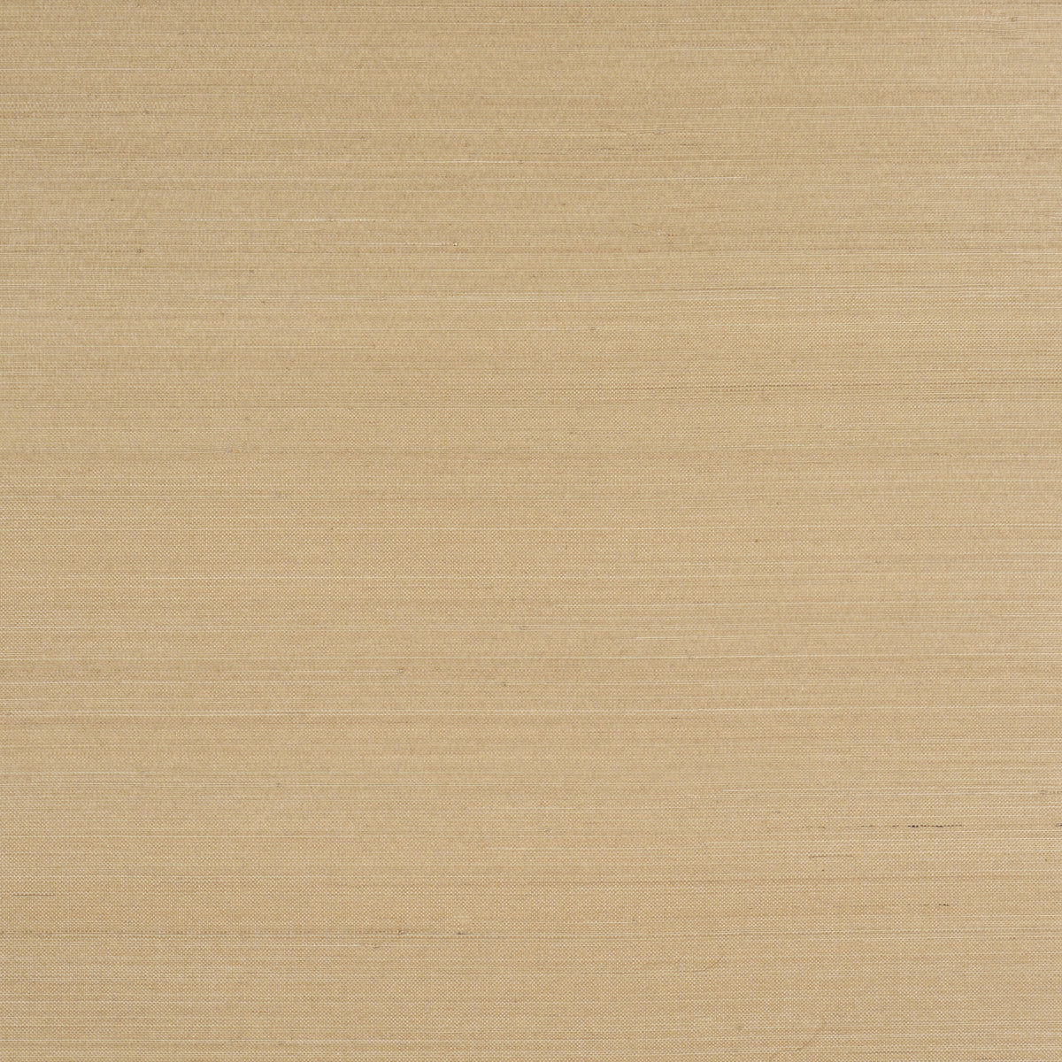 Musa Abaca Wallpaper in soft gold color - pattern number 5016873 - by Schumacher in the Patterson Flynn collection