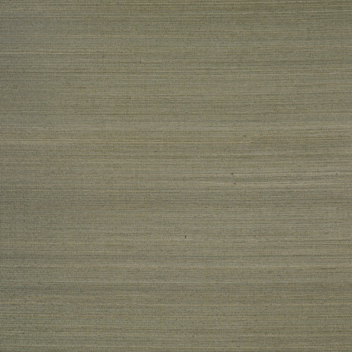 Musa Abaca Wallpaper in eucalyptus color - pattern number 5016876 - by Schumacher in the Patterson Flynn collection