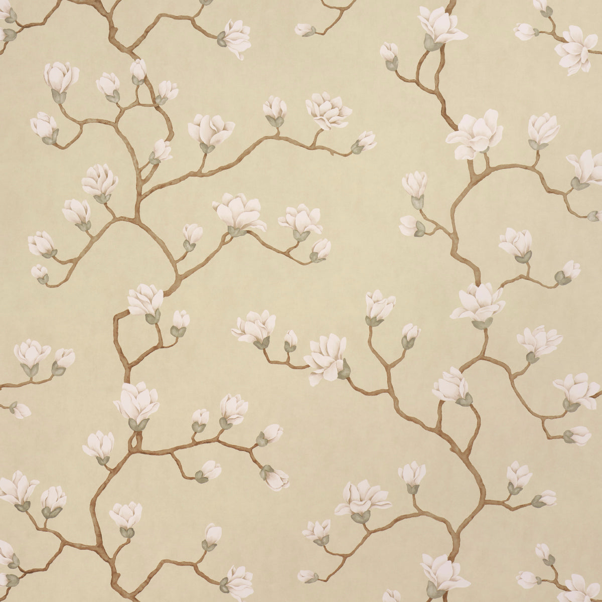 Magnolia Tree wallpaper in soft gold color - pattern number 5016932 - by Schumacher in the Botanical Garden collection