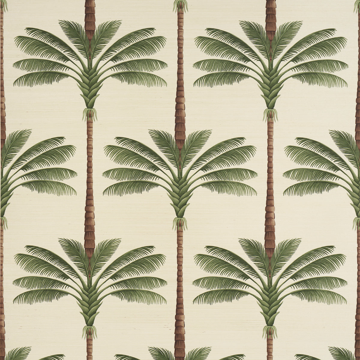 A Palm Is A Palm Sisal wallpaper in daylight evergreen color - pattern number 5016961 - by Schumacher in the Johanna Ortiz collection