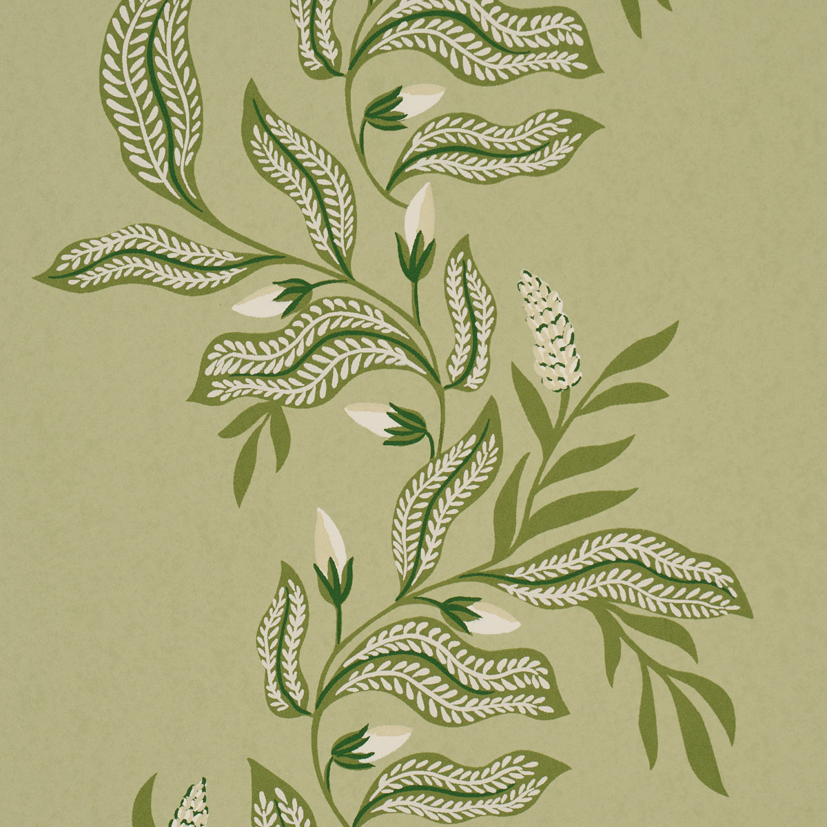 Vagary Vines Wallpaper in honeydew color - pattern number 5016970 - by Schumacher in the Laura Gonzalez collection