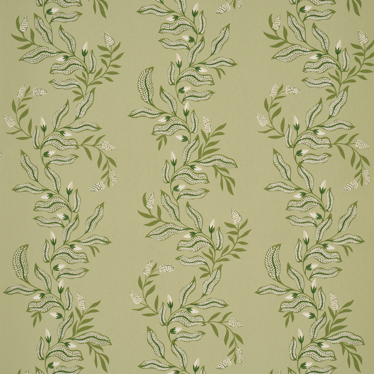 Vagary Vines Wallpaper in honeydew color - pattern number 5016970 - by Schumacher in the Laura Gonzalez collection
