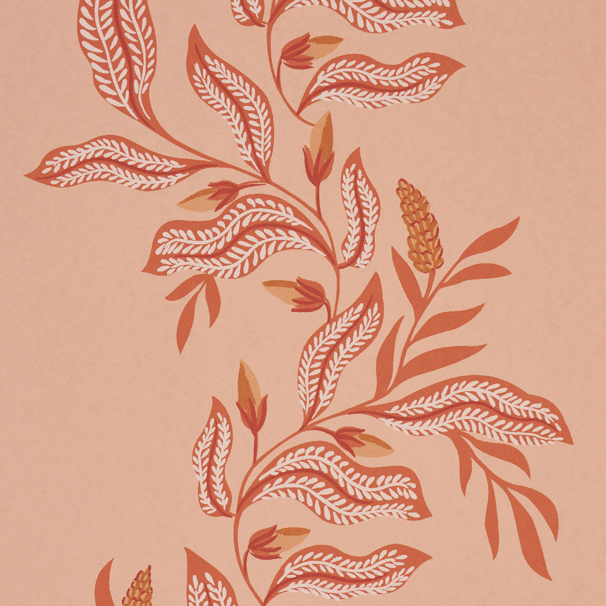 Vagary Vines Wallpaper in papaya color - pattern number 5016971 - by Schumacher in the Laura Gonzalez collection