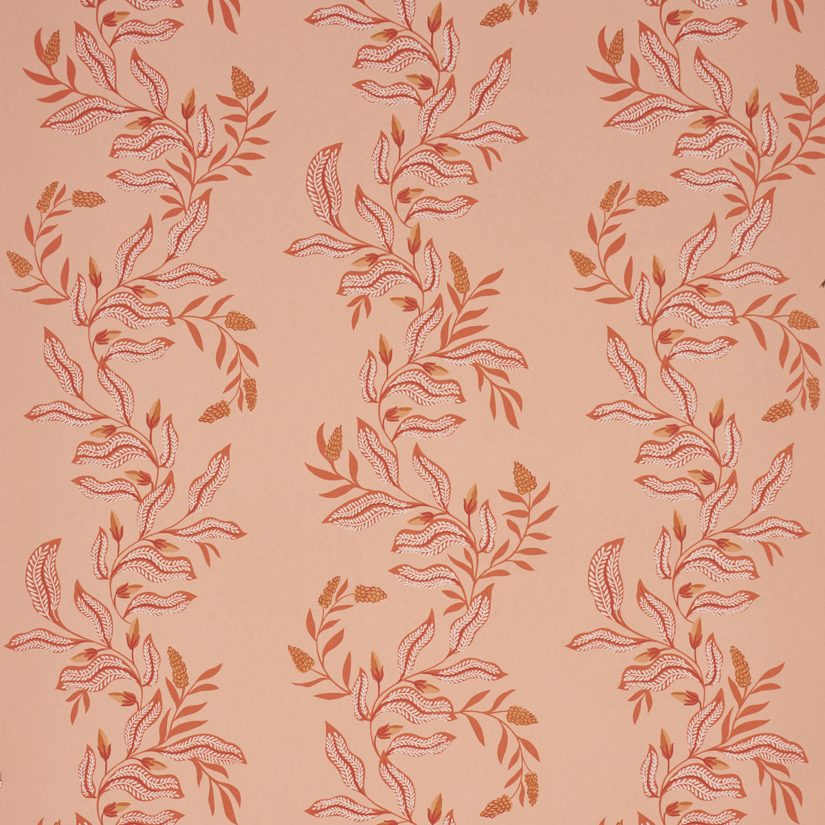 Vagary Vines Wallpaper in papaya color - pattern number 5016971 - by Schumacher in the Laura Gonzalez collection