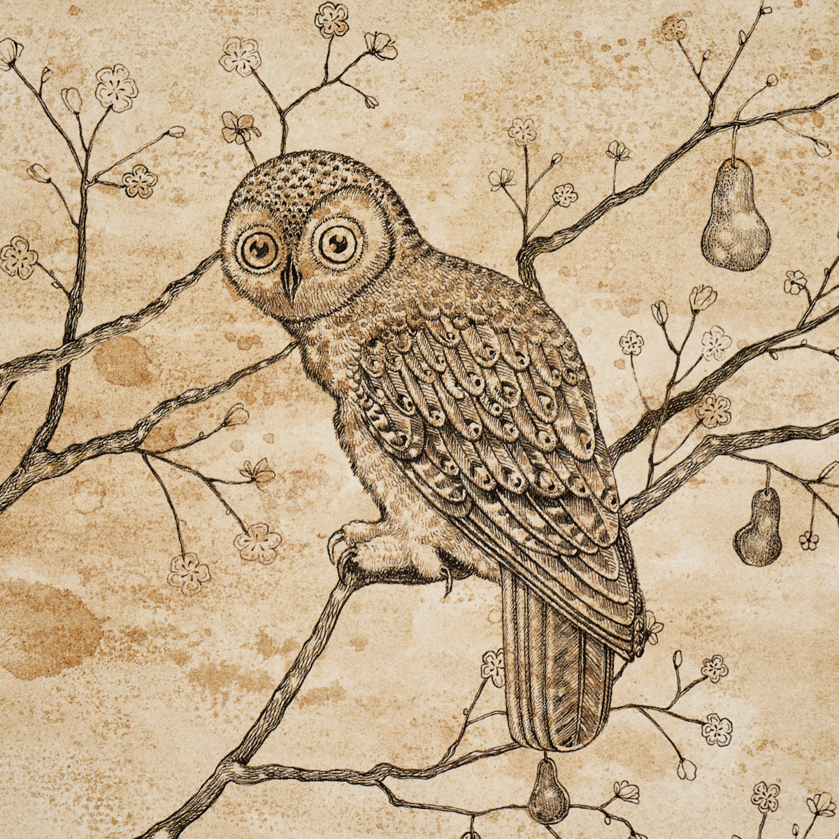 L Attesa Nella Notte Wallpaper in parchment color - pattern number 5017090 - by Schumacher in the Luxe Lodge collection