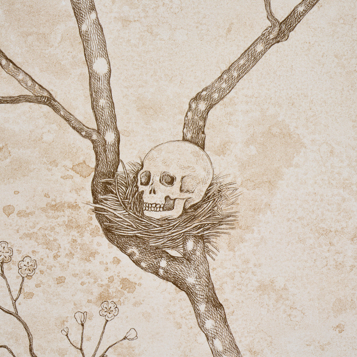 L Attesa Nella Notte Wallpaper in ivory color - pattern number 5017091 - by Schumacher in the Luxe Lodge collection