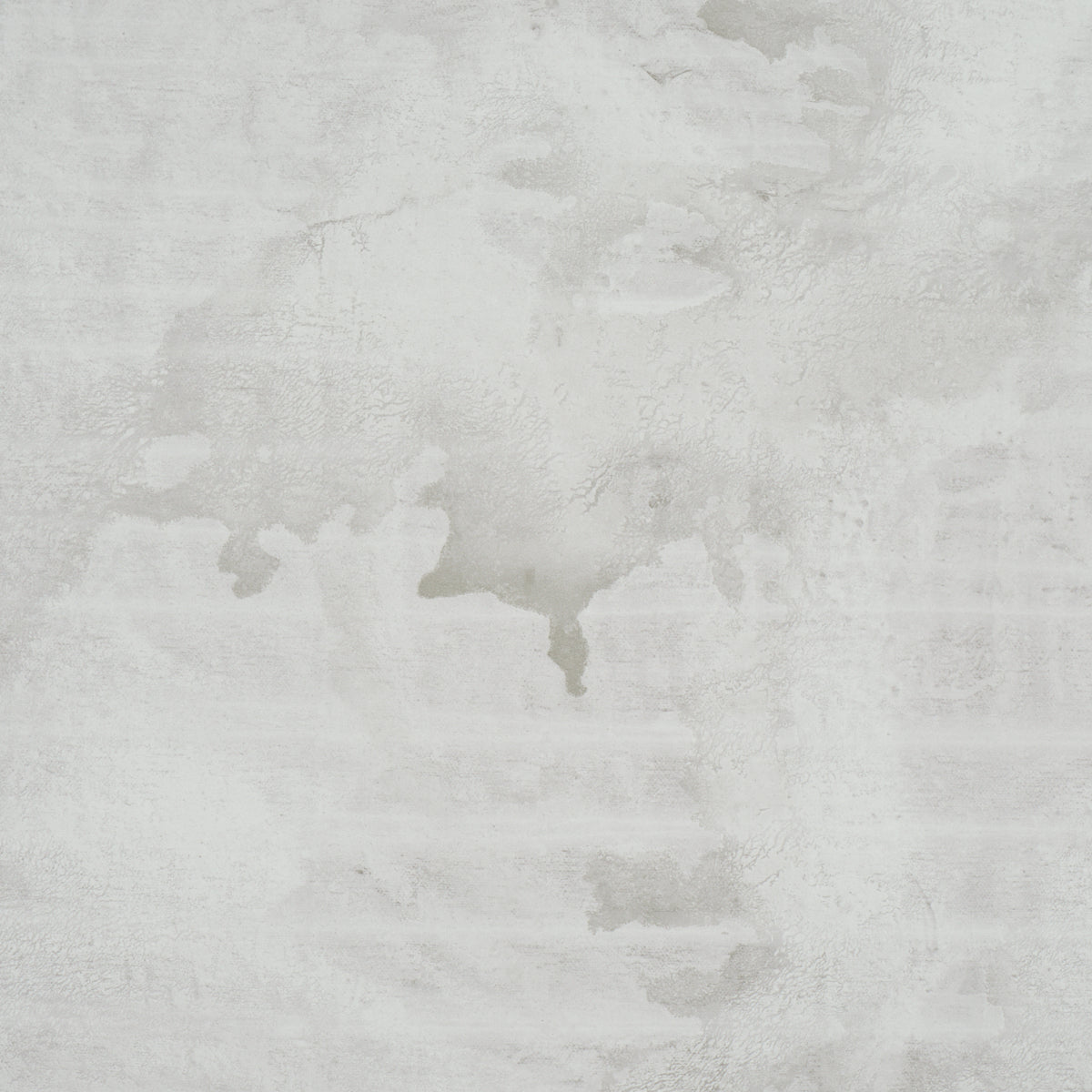 Valiant Wallpaper in dove color - pattern number 5017152 - by Schumacher in the Colette Cosentino collection