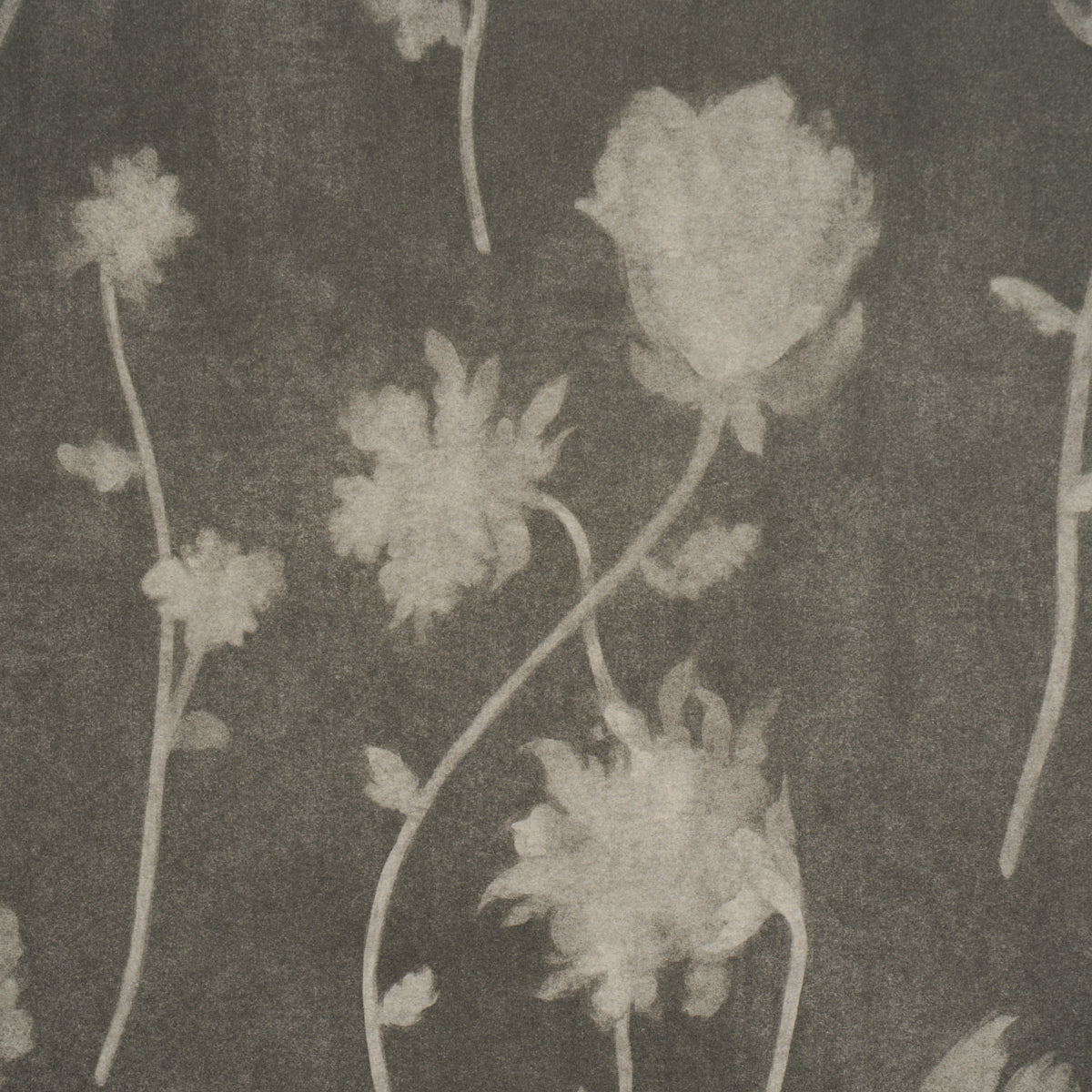 Before Midnight Wallpaper in charcoal color - pattern number 5017360 - by Schumacher in the Backdrop I collection