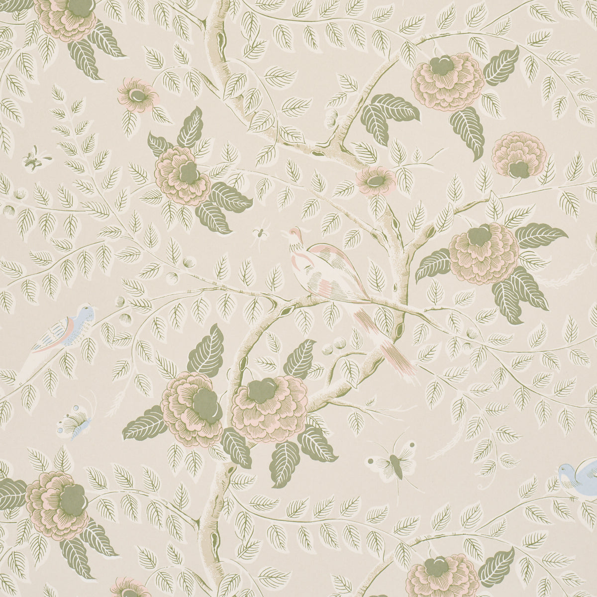 Tole Bird Wallpaper in petal color - pattern number 5017541 - by Schumacher in the Schumacher Classics collection